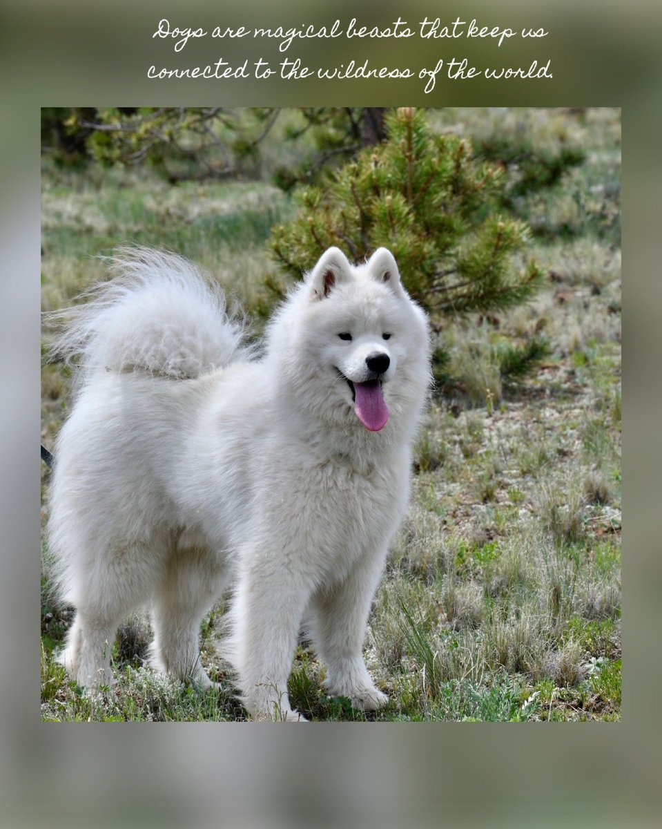 Zany Zak (@zanyzak) on Twitter photo 