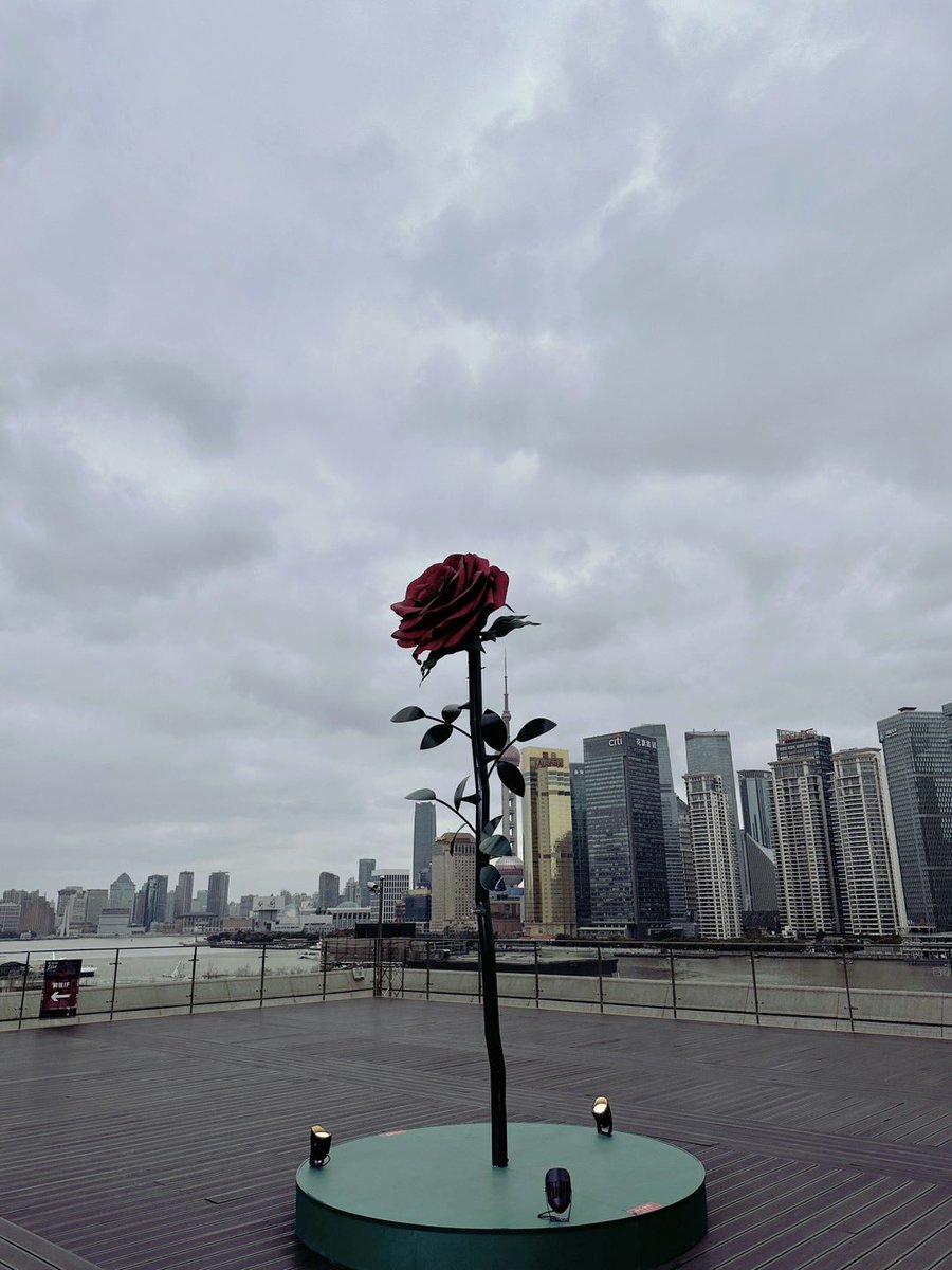 Yuewbo's tweet photo. #女攻男受 #四爱女攻 https://t.co/JjZcnukgDB
