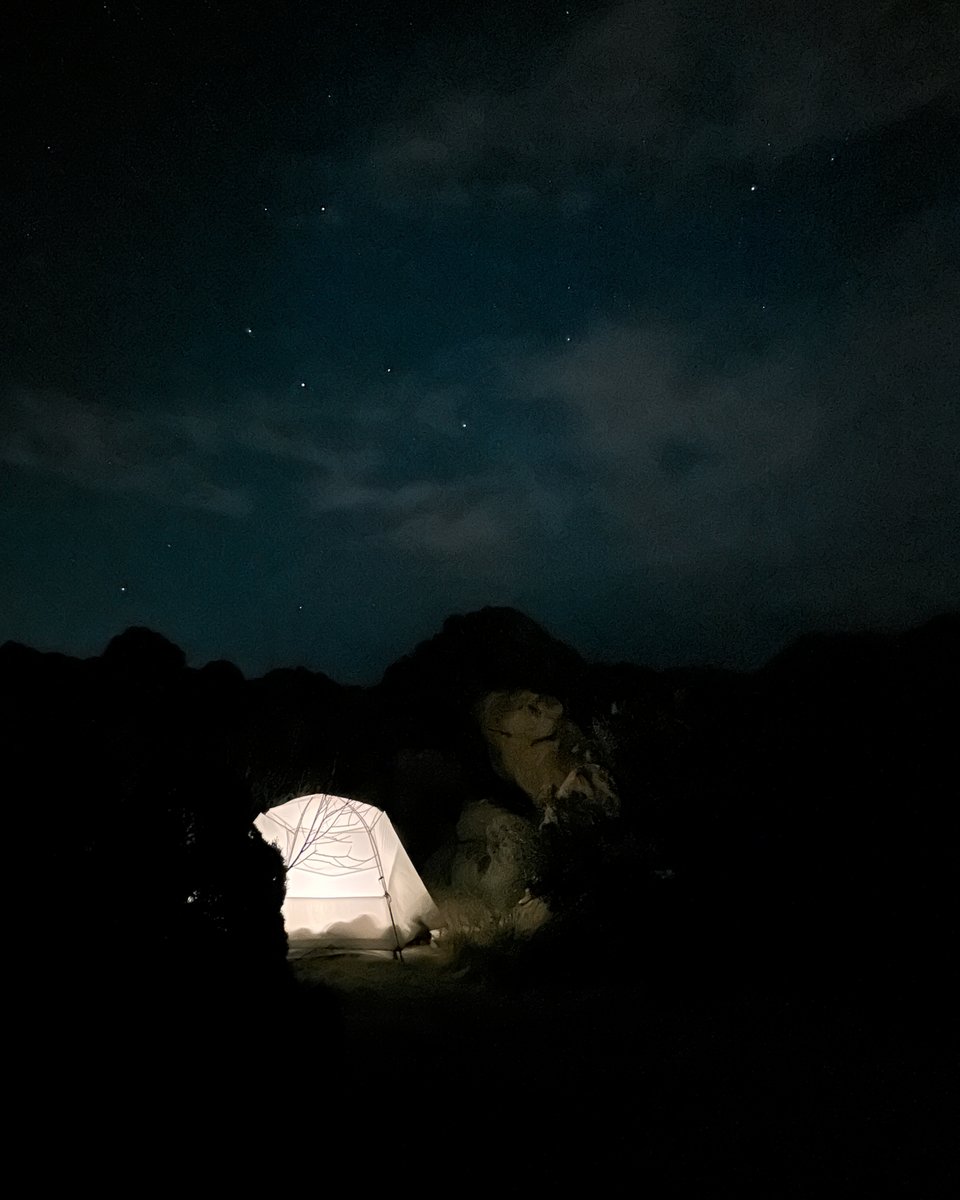 ashokaupadhya's tweet photo. Backpacking at Joshua Tree National Park

#backpacking #stargzing #hiking https://t.co/JRbcihHjhc