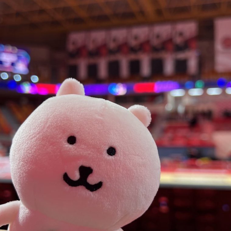 Deokgu_0's tweet photo. <농담곰이 보여주는 페퍼구장> 
극악무도한빨간바닥그리고조명…. https://t.co/rAyw0a1Qdi