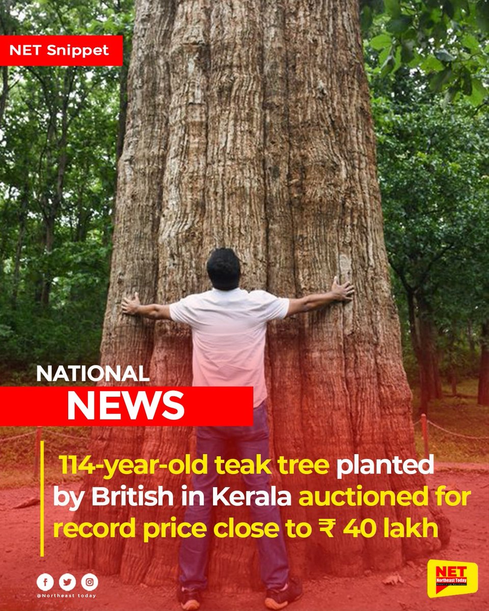 NortheastToday's tweet photo. #NETSnippet | According to the Forest department, a 114-year-old teak tree established by the British at the Nilambur teak plantation in this city recently brought in a record-breaking price of about 40 lakh at auction.
#teaktree #auction #Nilamburteakplantation #kerela https://t.co/7Zy3ZV0dvT