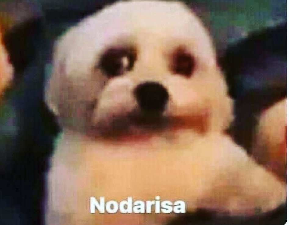 tOdatiti's tweet photo. Cuando me estoy riendo de los hombres heterosexuales y me recuerdan que estoy enamorada de uno:
🤣 https://t.co/q1zyNMCDRH