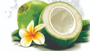 MesinRahman's tweet photo. $COCOS is coconut..
7 Day ...again.. https://t.co/drVYkDMV5M