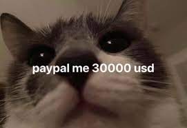 literallymecats's tweet photo. https://t.co/6oGCkzDl8W
