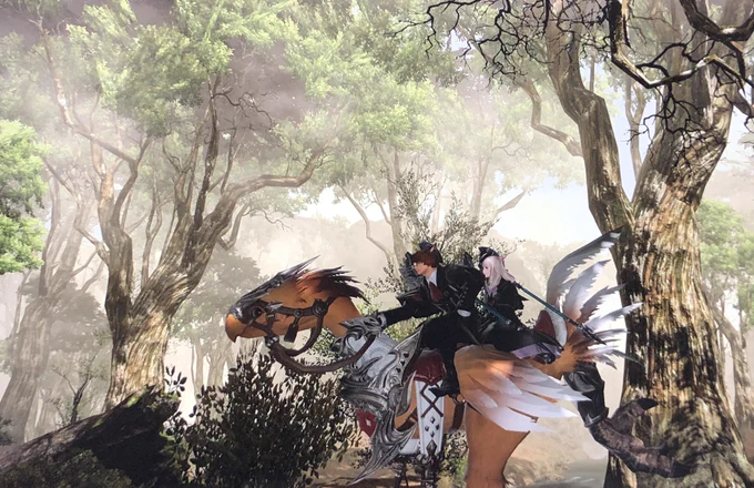 もうラヒッにしか聞こえない…チョコボがカメラ目線!Copyright (C)  SQUARE ENIX CO., LTD. All Rights Reserved.#FF14 #ミコッテ 