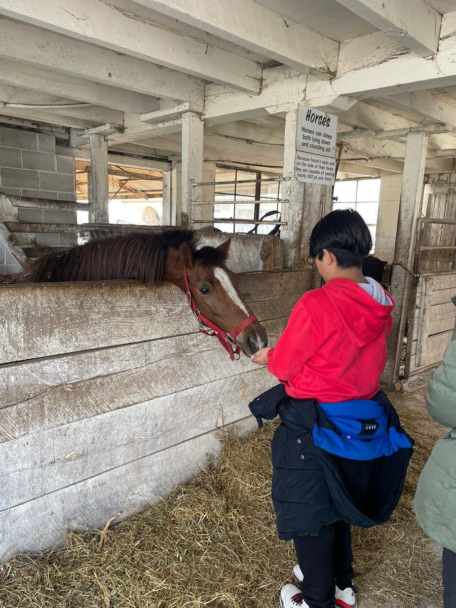 stylishbi's tweet photo. Feeding &amp; petting ❤️ https://t.co/1d9Sm6Wtdz