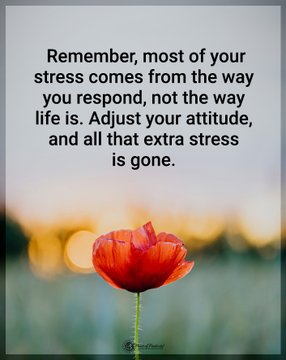 ReetCaptures's tweet photo. Just remember it...

#mindfullness #mindful #PositiveVibes #positivethoughts #positivity https://t.co/AgTuVzkWPH