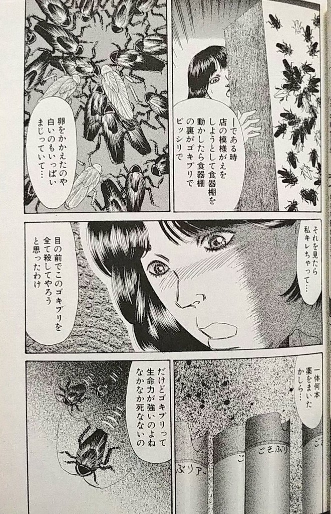 コオロギとかゴキブリとかおまえらほんと虫好きな! おれとゴキブリまんがの話でもするか!? 