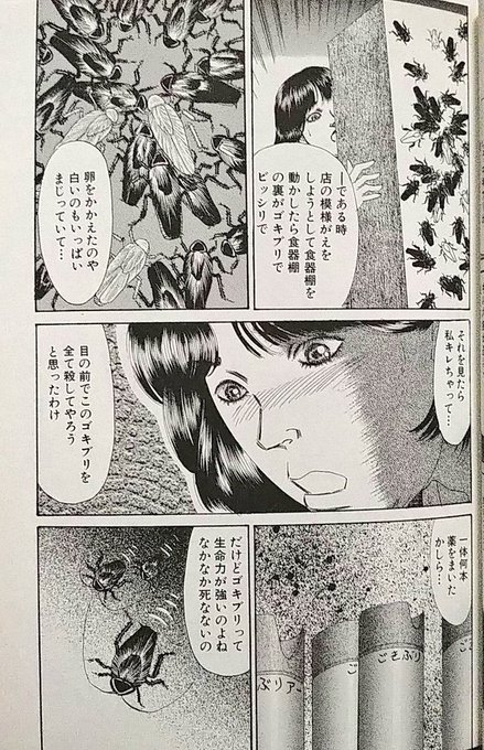 コオロギとかゴキブリとかおまえらほんと虫好きな! おれとゴキブリまんがの話でもするか!? 