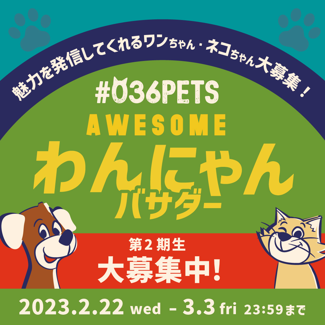 awesomestore417's tweet photo. ＼📡わんにゃんバサダー第2期生募集中🐾！／

🐶#ワンちゃん #ネコちゃん のご家族のみなさまにお届け🐱

オリジナルペットグッズ「#036PETS（オーサムペッツ）」シリーズを一緒に盛り上げてくれるワンちゃん・ネコちゃんを大募集👊✨

詳細はこちらにゃ🐾
https://t.co/R25S5HoTXD

#アンバサダー https://t.co/P4aN01uRoY