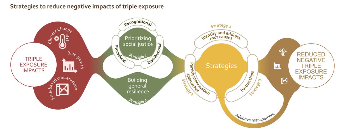 jacq_lau's tweet photo. Coastal communities face pressures from climate change, blue economy and area-based conservation . Prioritizing social justice and building general resilience matters. Read more: new paper led by @DavidGillMarine &amp; @_JessicaBlythe et al., from https://t.co/eKD6eyrqBO https://t.co/JDNWEUVdHd