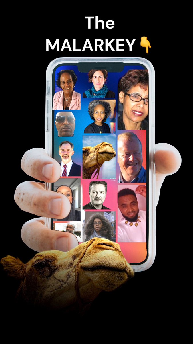 AuetMelache's tweet image. The #MALARKEY 👇
These Malarkey took on the Camel 🐪, and all failed miserably 😂😂😂