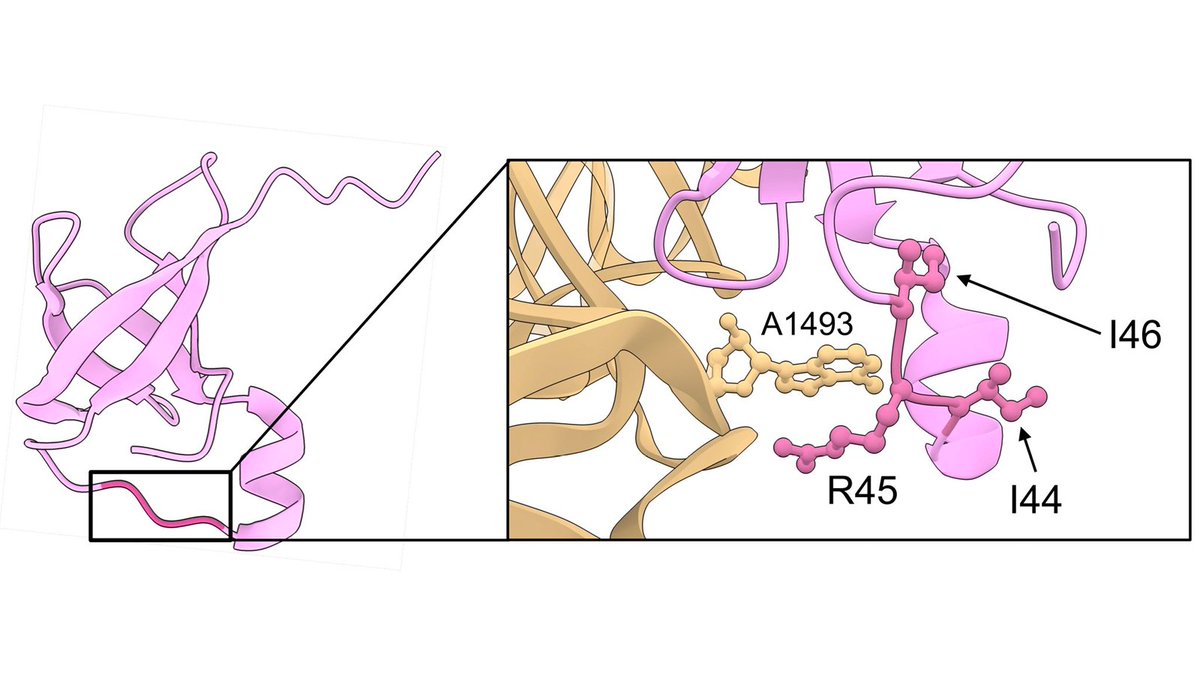 Ruben Gonzalez tweet media