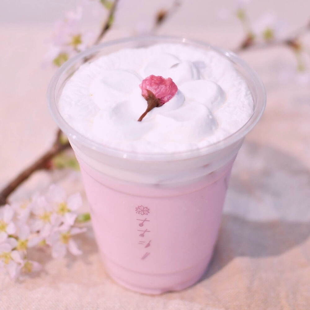 fashionpressnet's tweet photo. 桜スイーツ専門店「ナナシノ桜菓子店」が中目黒に、桜香るテリーヌショコラwithチーズクリーム - https://t.co/EzfGKOAIT9 https://t.co/tqWDASaqDR