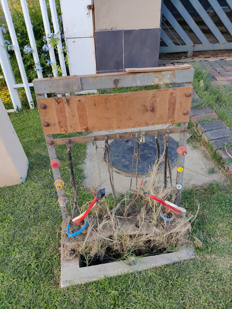 Clinton Briggs tweet media