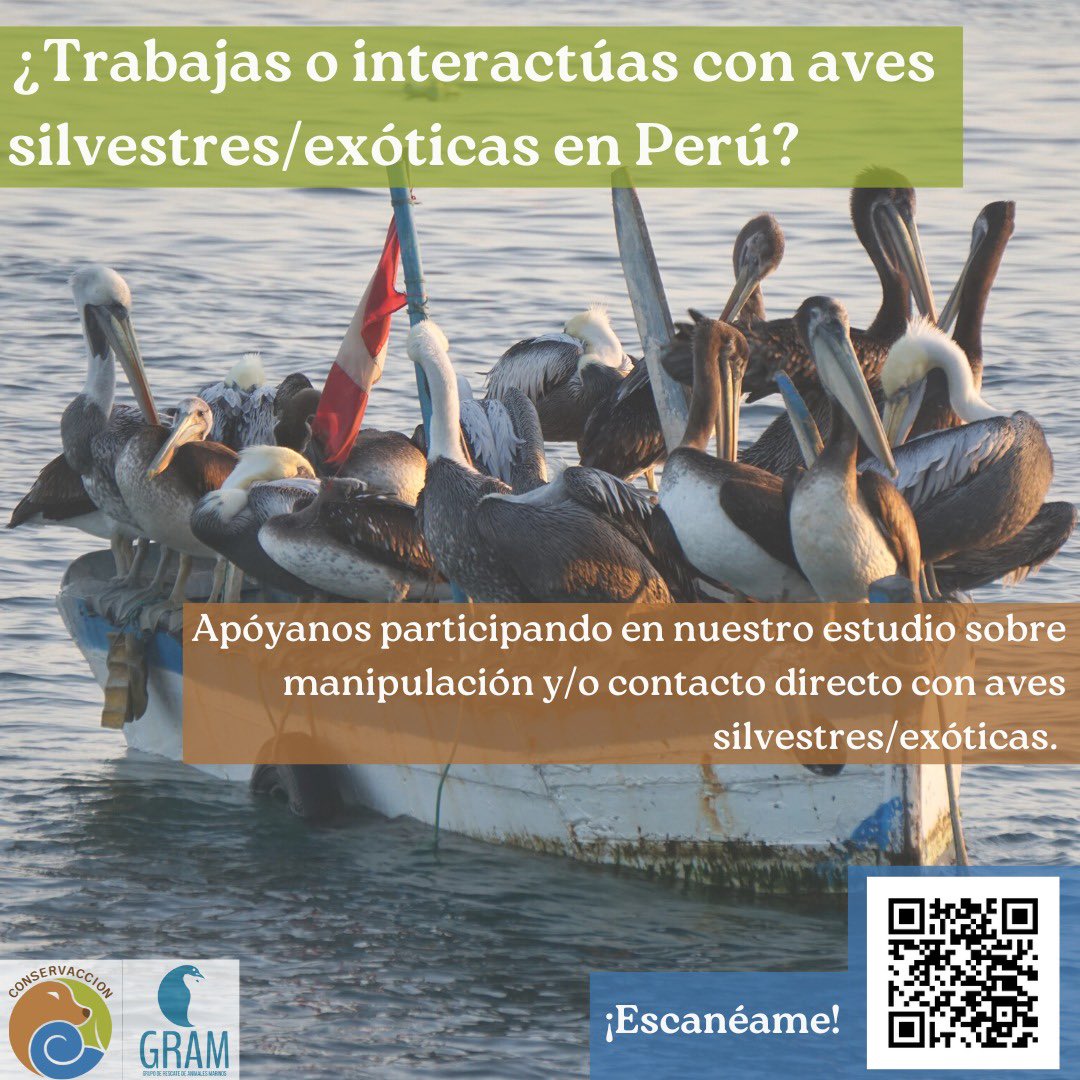 ¿Trabajas o interactúas con aves silvestres/exóticas en Perú? 🦆🦅
¡Ayúdanos participando de nuestra encuesta o compartiendo nuestro formulario! 
Puedes acceder al formulario a través del código QR en la imagen o mediante el link abajo. 👇🏼
ee.kobotoolbox.org/x/oSNyFQNZ
🙌🏼