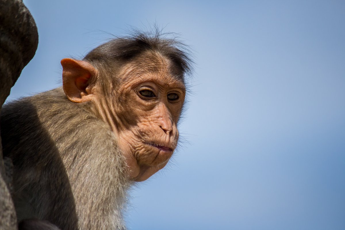 LightRaysPhoto1's tweet photo. For #wednsedaywisdom 
"Don't waste your time stressing about things you can't control."😍🤗

#IndiAves #twitter
#ThePhotoHour 
@ThePhotoHour 
@ErikSolheim
@KatanaHugo
@ParveenKaswan
@NatGeo
@BBCEarth
@IndiAves
@KarnatakaWorld
@Canon_India
@Natures_Voice
@WildlifeMag
@NatGeoIndia https://t.co/5DtcCBxG5U