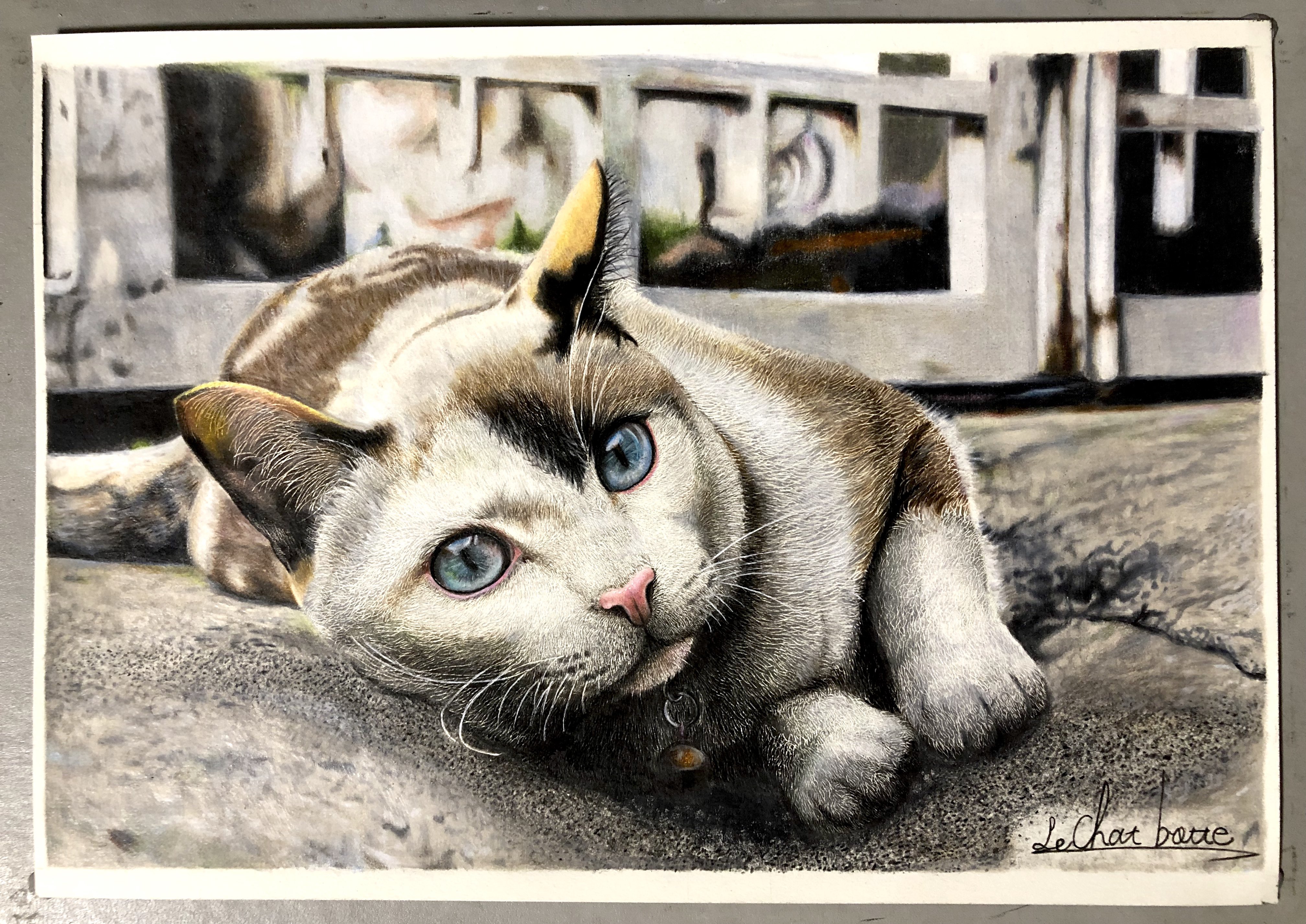 猫の絵 五徳猫 on X: 
