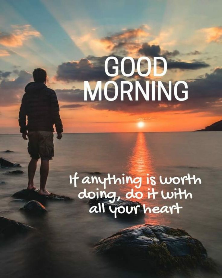 Vinoliav95's tweet photo. Good morning guys 😘😍🙏 happy Wednesday morning 🥰😘🔥 #Pathaan1000crWorldWide #PathaanBlockbuster  @iamsrk @SRKUniverse
@BrijwaSRKman @gaurikhan @SRKsGopal @TheSRKWarriors @Kyawtha14933443
@SrkianDas04
@SandipB28369874 @Kyawtha14933443 https://t.co/PcEMvSdkOv
