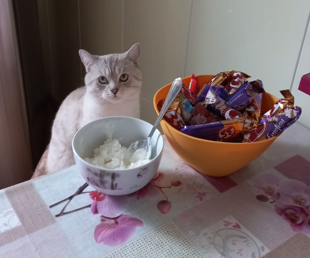 А у нас обед. Всем приятного!
