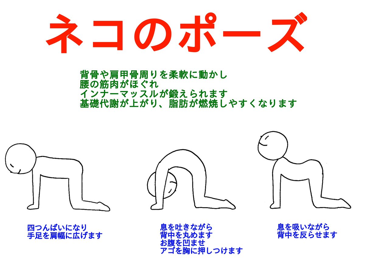 今日は2/22で猫の日ということで
猫にちなんだヨガのポーズをどうぞ^_^

あ、当店は明日の祝日も
通常通り営業いたします
(2回目^^; ) 