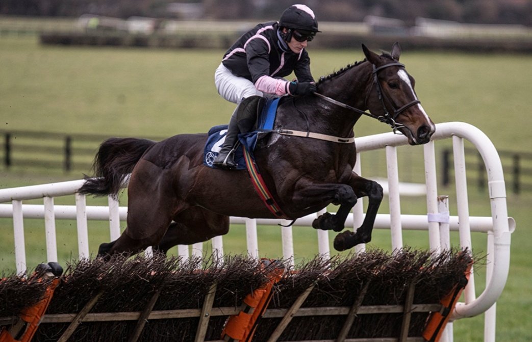 Stephen R Power (@racingblogger) on Twitter photo 💷 If BRANDY LOVE Wins the Grade 3 Hurdle at Punchestown I'll give £50 CASH to one of you Lucky People!! 🥇 🇮🇪
To Enter: 👇
1️⃣ RT this Tweet
2️⃣ Follow <a href="/racingblogger/">Stephen R Power</a>
🚨 instagram.com/racingblogger
#Cheltenhamfestival #Horses #Win 💷 If BRANDY LOVE Wins the Grade 3 Hurdle at Punchestown I'll give £50 CASH to one of you Lucky People!! 🥇 🇮🇪
To Enter: 👇
1️⃣ RT this Tweet
2️⃣ Follow <a href="/racingblogger/">Stephen R Power</a>
🚨 instagram.com/racingblogger
#Cheltenhamfestival #Horses #Win