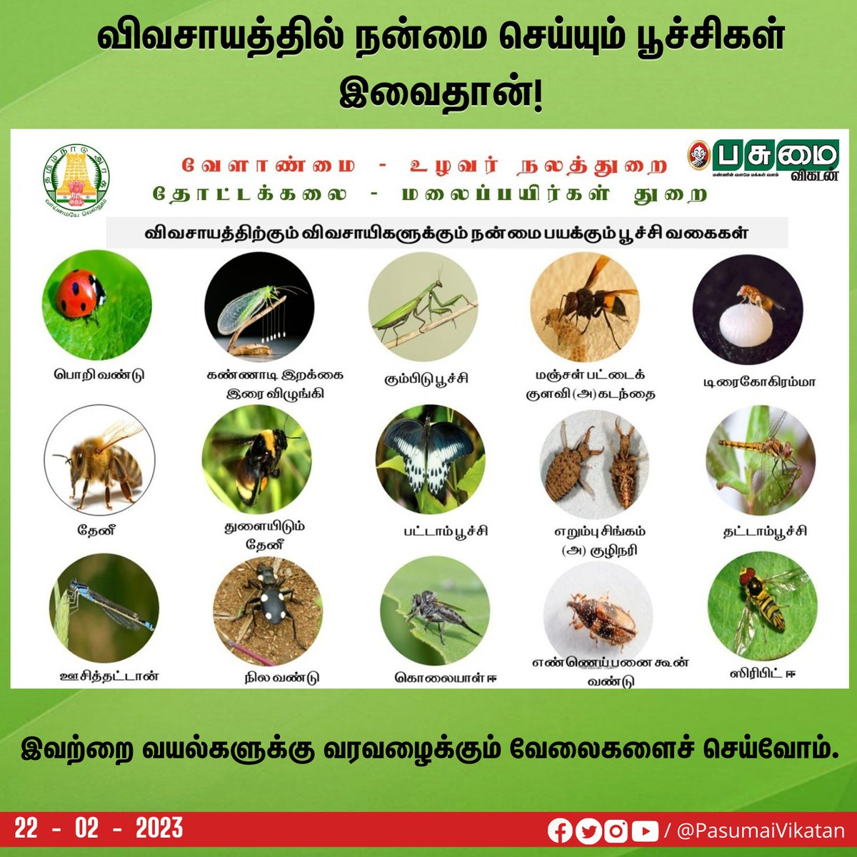 PasumaiVikatan's tweet photo. விவசாயத்தில் நன்மை செய்யும் பூச்சிகள் இவைதான்!

#Insects | #Agriculture | #Help https://t.co/ZzAPg8SwiD