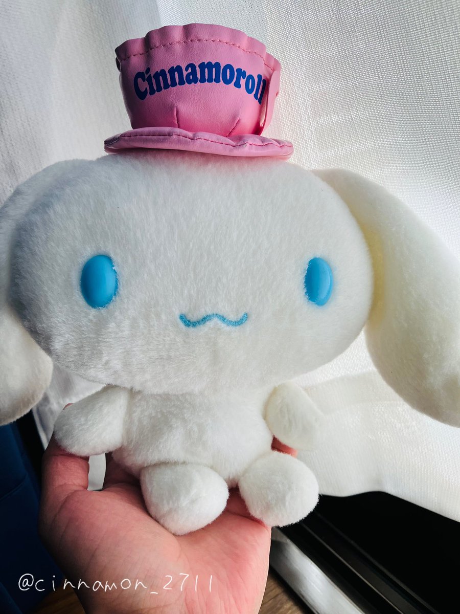 シナモン隊 (@cinnamon_2711) / Posts / X