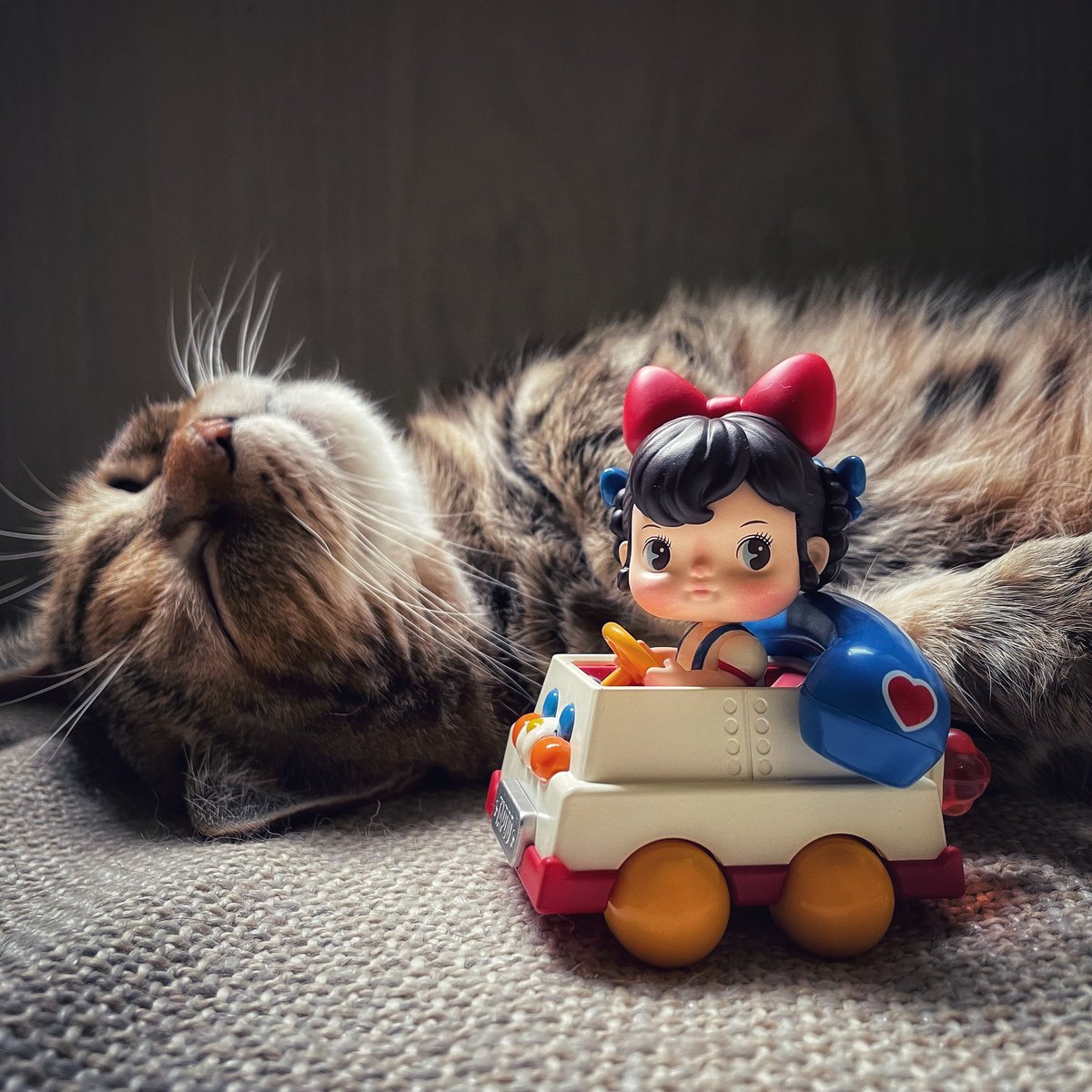 wilson1980's tweet photo. 🐱 222 猫の日 ❤️
@POPMARTGlobal
#cat #ねこの日 #猫好きさんと繋がりたい #designertoys #arttoy #toy #sofvitokyo #neko #猫のいる暮らし #猫好き #猫 #野良猫 #保護猫 #streetcat #ソフビ #catlover #tapoo #blindbox #popmart #popmartglobal #猫の日 #doll #昭和レトロ https://t.co/1Up0tOCzkf