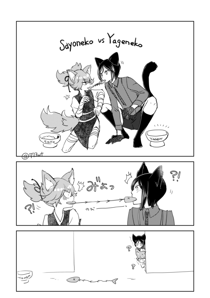 🐈‍⬛🐈‍⬛ 
