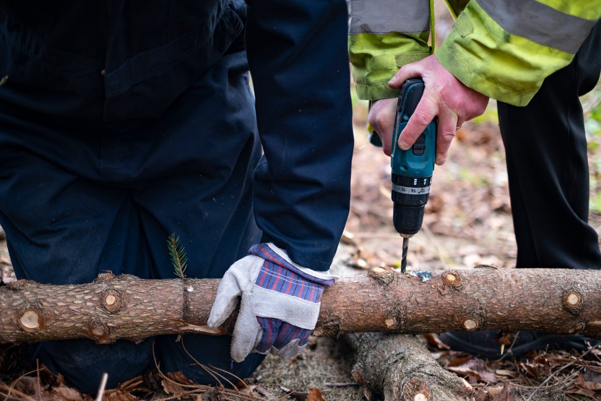 THREAD: Yesterday members of our vergers' team put together the Lent cross for Bradford Cathedral.

The cross is formed from the trunks of our two #Christmas trees, which were stripped down and then assembled together. (1/4)

#AshWednesday #WednesdayMotivation #Lent