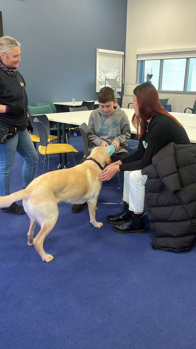 blind_but_sound's tweet image. A lovely start to the week visiting Guide Dogs in Manchester. Dylan had a great  time playing with the dogs. Now all I need is the universe to find me a match. I’ve never thought I would need a dog  as much as I do now. 🤞🏻🤞🏻🥰 @guidedogs   #guidedogs #guidedogtraining