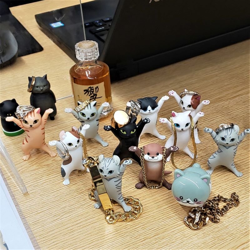 Brandoors_com's tweet photo. 今日は2月22日でニャンニャンニャンで猫の日です。
ブランドアーズ相模原店のにゃんこも最初は5匹でしたがずいぶんと大所帯になりましたw
1匹だけにゃんこではない子が・・・・
#猫の日 https://t.co/Q59YF2FBpF