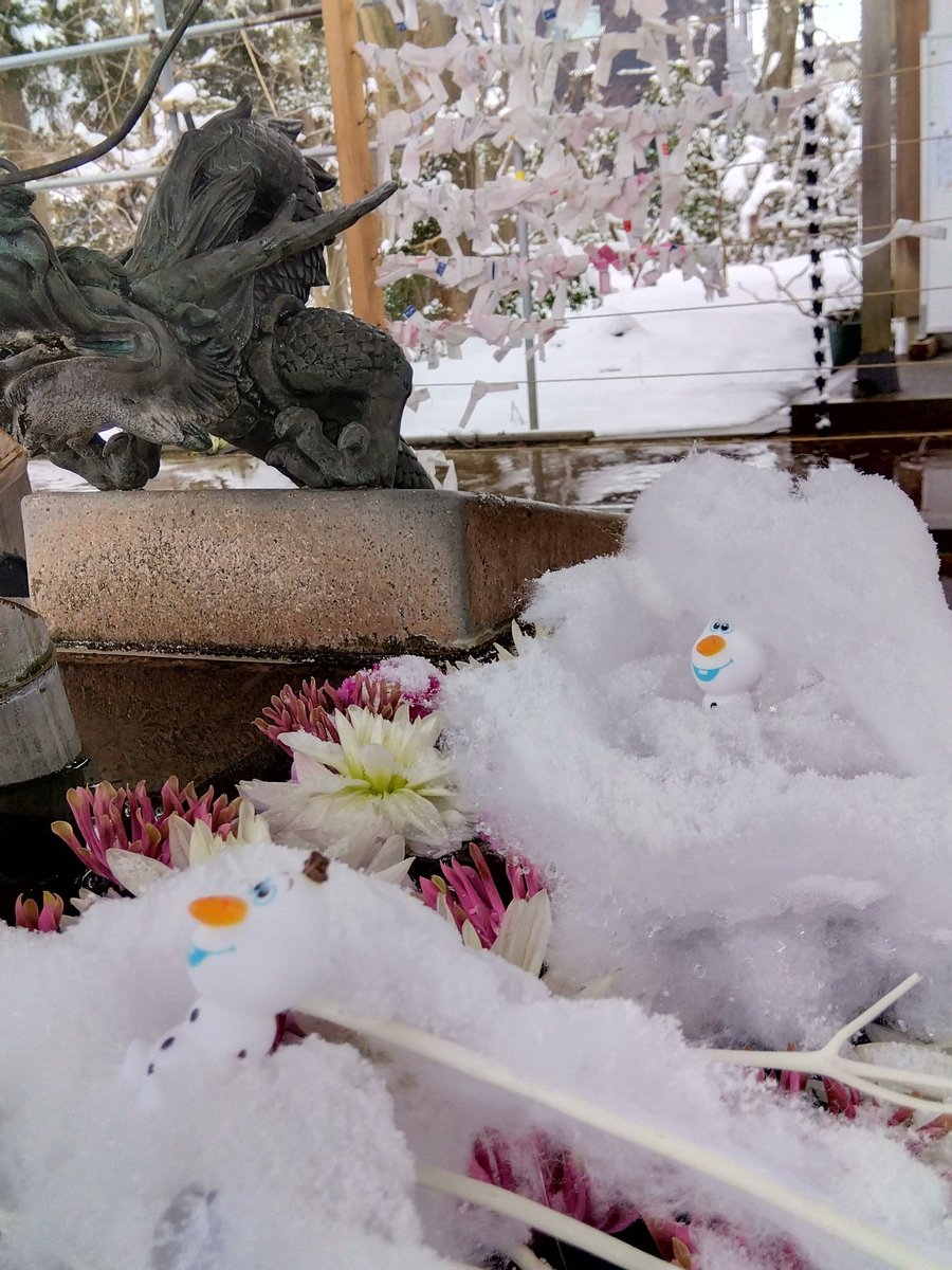 72681239910nabe's tweet photo. 蔵王金峯神社の花手水
花と雪バージョン
オラフがかくれんぼ😊
#金峯神社 #金峯神社の花手水 https://t.co/wy2dp6nz8Q