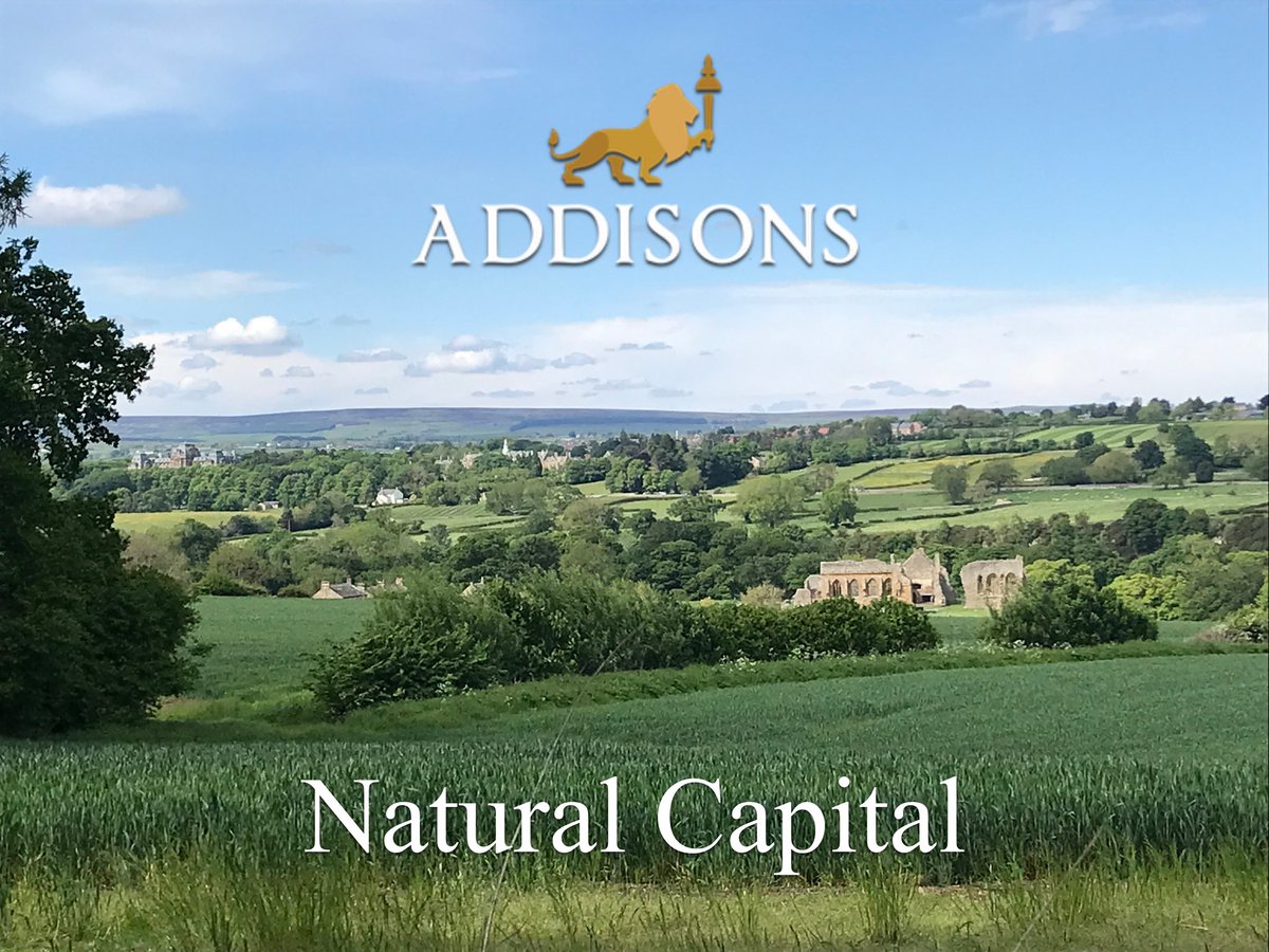 Addisons13's tweet image. Addisons Natural Capital website is now live and lists the Biodiversity Net Gain sites and forthcoming Biodiversty Units (BU). A password protected site for Property Developers and Local Authorities - please contact us. #biodiversitynetgain #BU #naturalcapital #biodiversity