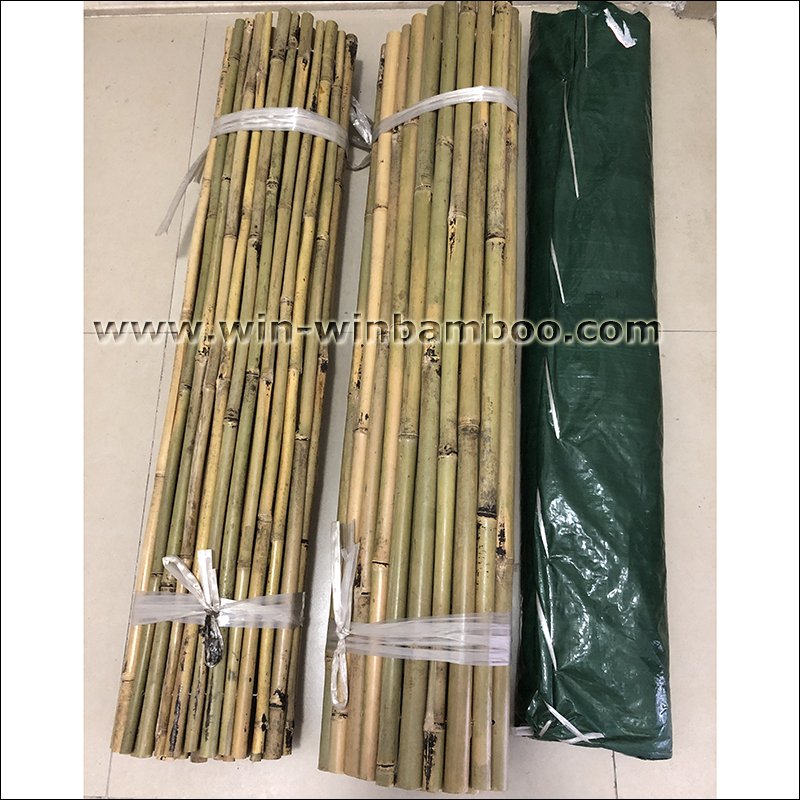 longcailing2009's tweet photo. Tsinglee Tonkin bamboo fence of wire lines woven inside canes

#garden #gardening #fencing #fenceinstallation #bambooproducts #bamboo #bambu #gardenfurniture 

Nothing is impossible! 😄 https://t.co/cnLWnCqTyh