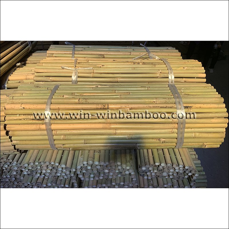 longcailing2009's tweet photo. Tsinglee Tonkin bamboo fence of wire lines woven inside canes

#garden #gardening #fencing #fenceinstallation #bambooproducts #bamboo #bambu #gardenfurniture 

Nothing is impossible! 😄 https://t.co/cnLWnCqTyh