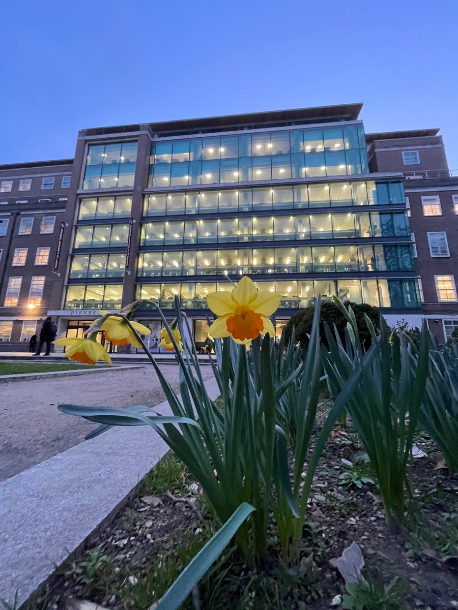BirkbeckUoL's tweet photo. The first sign that winter is on its way out! We love seeing the daffodils coming out to say hello on Malet Street ππ #helloBBK https://t.co/JZx0QfUKpf
