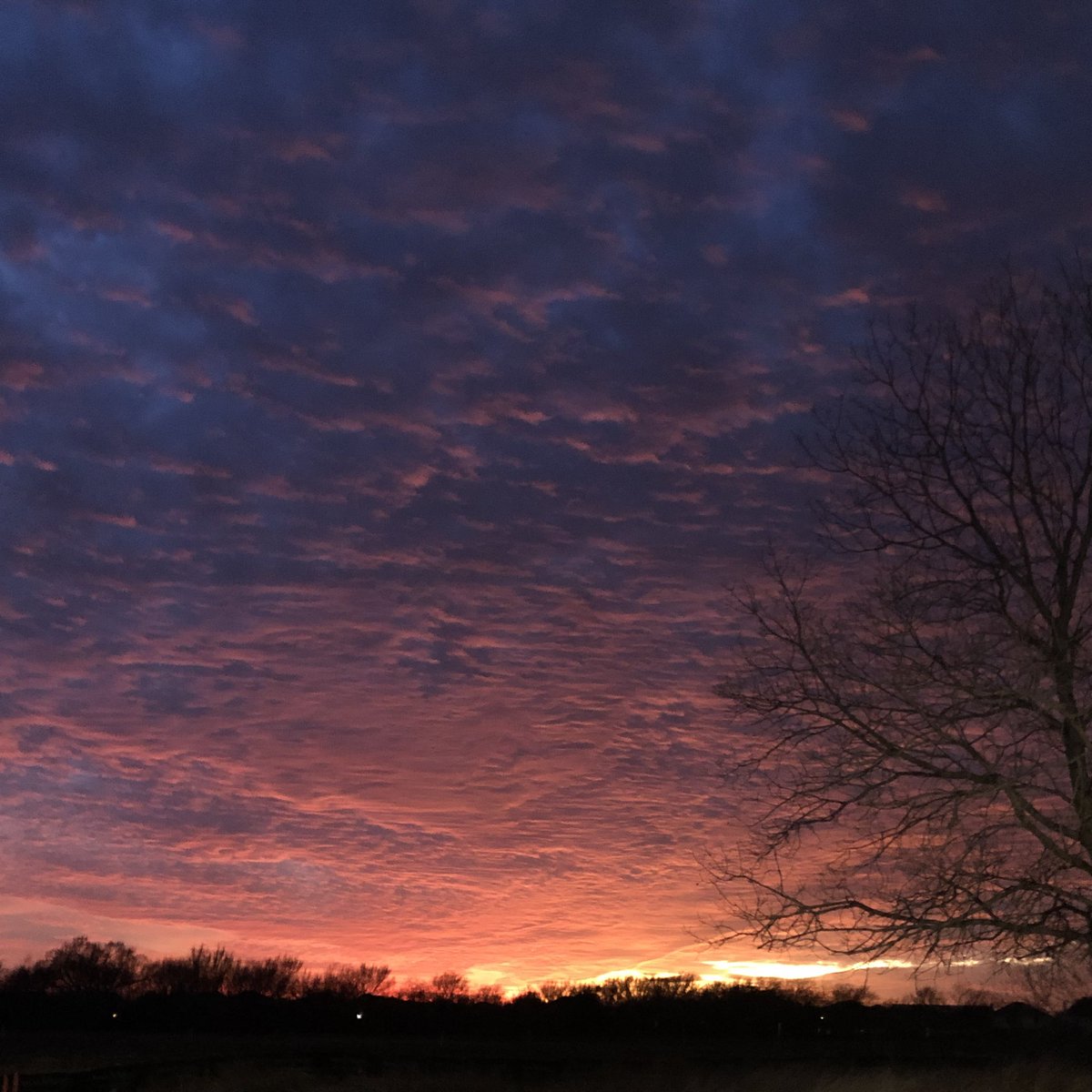 PFischetto's tweet photo. @NWSFortWorth #northtexas sunsets are the best! ☀️ https://t.co/cHCVZlH2lC