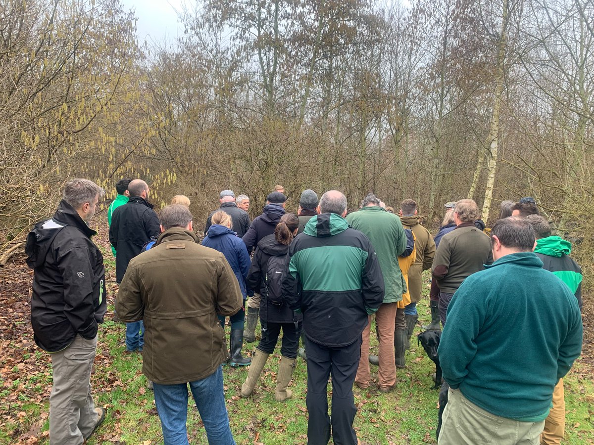 The <a href="/ForestryComm/">Forestry Commission</a> are at @AvelandT today chatting all things woodland creation &amp; management with farmers &amp; landowners #casefortrees