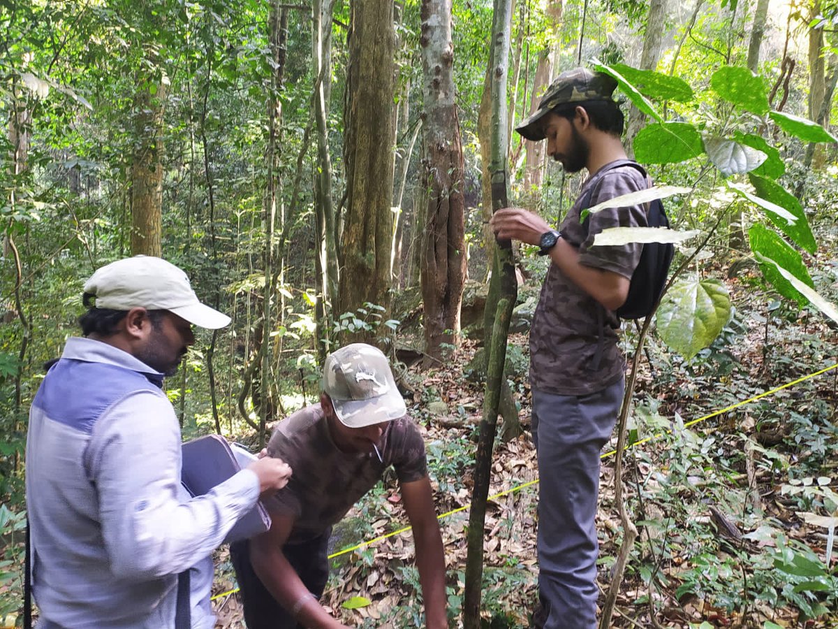 ARUNKUM87273851's tweet photo. Enumeration work at Nadukani Forest with the Research team of #IIScBangalore, Govt. Of India. It was a great experience to work and share the ideas with this extraordinary team
#Forestgeo #forests #forestplot #trees #research #forestresearch #wildlife #teamspirit https://t.co/84oLxvPquz