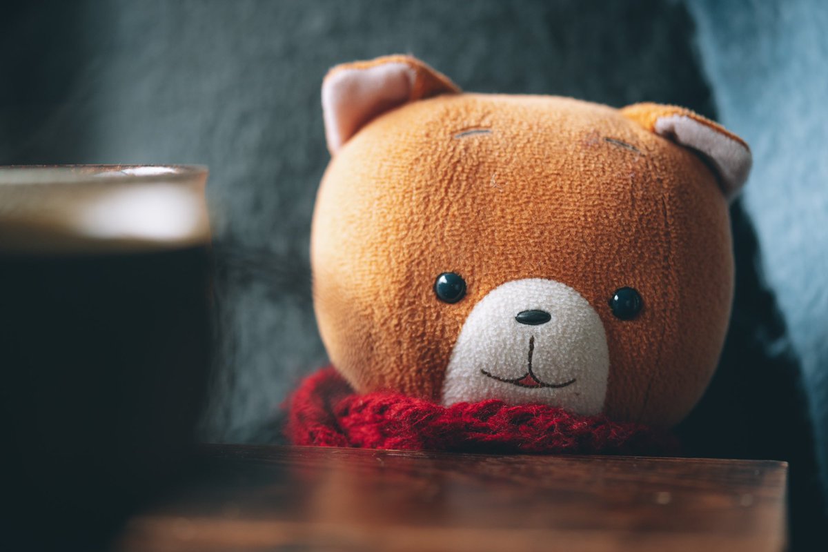 shimizu_nobu_'s tweet image. 今日は猫の日
一昨年妻がこまねこを家に招待してくれました

#猫の日
#こまねこ