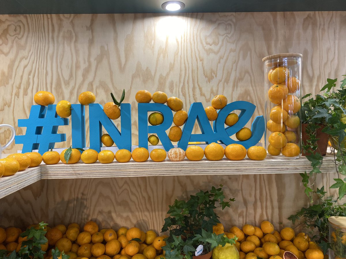 INRAE_Corse's tweet photo. 25-26 fév.  @Salondelagri / 𝐔𝐧𝐞 𝐚𝐥𝐢𝐦𝐞𝐧𝐭𝐚𝐭𝐢𝐨𝐧 𝐬𝐚𝐢𝐧𝐞 𝐞𝐭 ����𝐮𝐫𝐚𝐛𝐥𝐞 𝐩𝐨𝐮𝐫 𝐭𝐨𝐮𝐬 / espace la science a du goût / UE Citrus #CRB 🍊thématique à l’honneur #lesagrumes 🍊@TorreAndr @IsulaCorsica @cracorsica20 @mpb_Corsica @BerettiH @INRAE_DipSO https://t.co/qLWaJaoP8T
