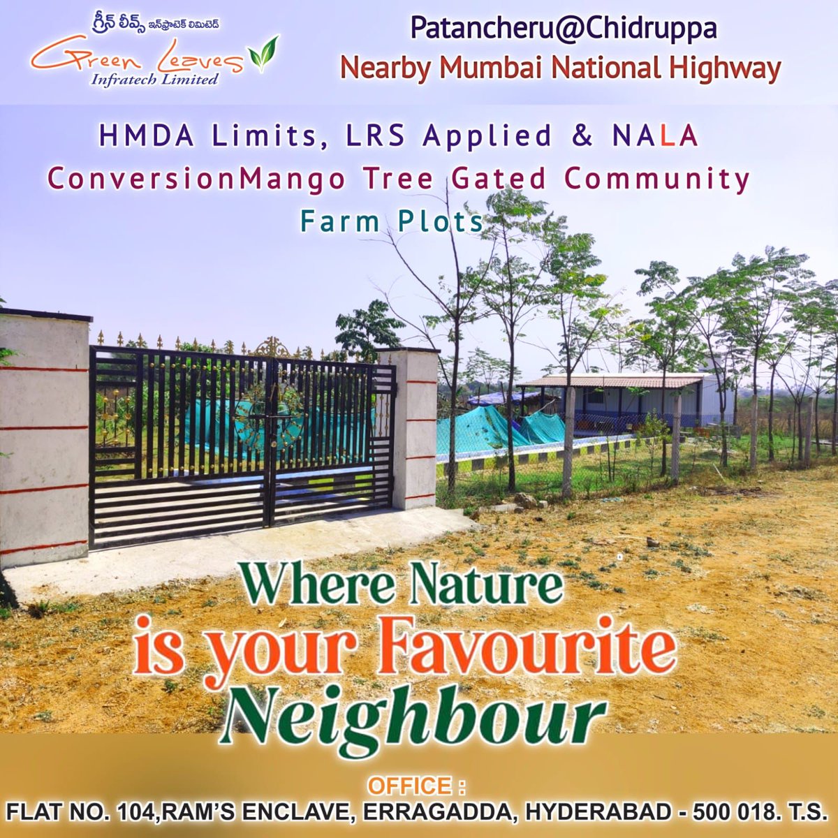 #MANGO TREE GATED COMMUNITY FARMLAND  SALE
Indresham near Patancheruvu
# LRS Applied Gated Community    
   Farmplots,
# Mango Tree Plantations with
    3 Yrs Maintenance and Lease,
# Lease Agreement provided,
Contact me for more details: 8143733408