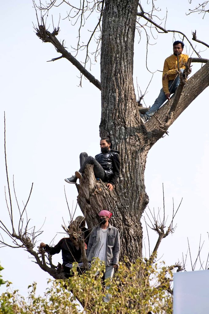 Andrew Leonard tweet media