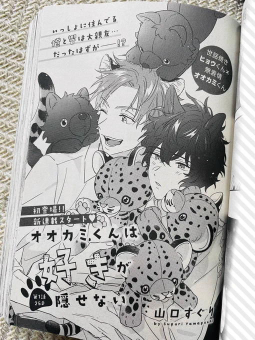 📣🐆🐺
【新連載】

本日発売のDaria4月号に
「オオカミくんは好きが隠せない」
第一話、掲載いただいてます。

攻めの燈(彪)と受けの響(狼) のお話です。
(ケモ耳、動物、ショタ…私の癖がたくさん出ます☺️)
よろしくお願いいたします!

https://t.co/iFbbvtPqxu

#オオカミくんは好きが隠せない 