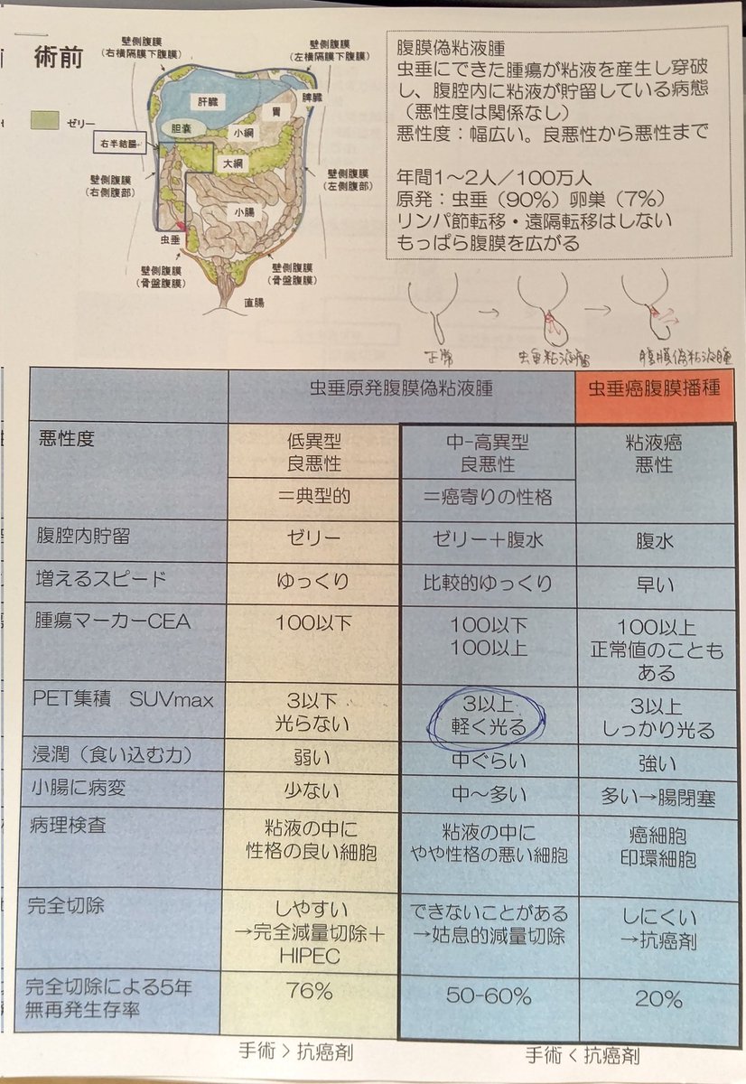 たにゃん tweet media