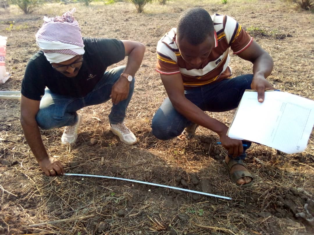 RabeYahaya2's tweet photo. Adaptation &amp; Testing of multicrops seed cum fertilizer row seeder under #South-South collaboration between #India and #Benin implemented by #CIMMYT and GIC of #GIZ; #BMZ for smallholder farmers is creating business paternership for #TAI, #SoNaMa &amp; #Rohitkrishi
@mechanising#Africa https://t.co/86ft6CMr56
