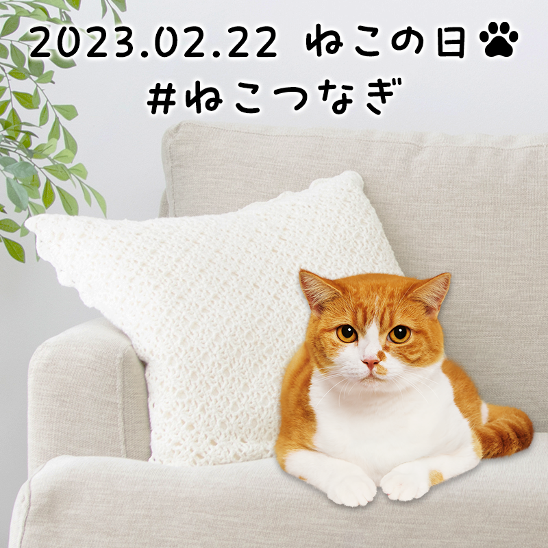本物の #ふてニャン は…①でした！ 皆さん、わかりましたよね