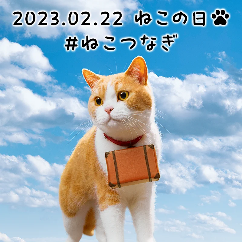 ワイモバイル（Y!mobile）公式 on X: 